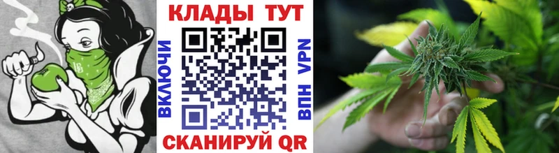 Где найти наркотики Моршанск АМФ Бошки Шишки Кокаин Меф мяу мяу Гашиш Alpha PVP