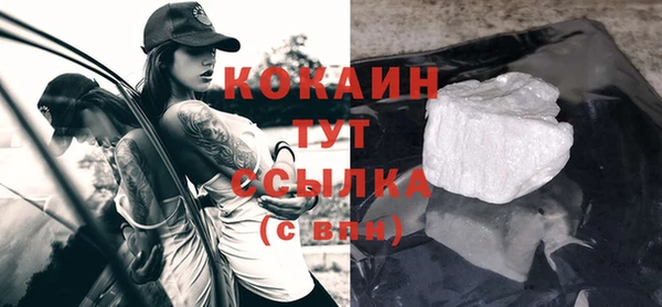 ГАЛЛЮЦИНОГЕННЫЕ ГРИБЫ Слюдянка